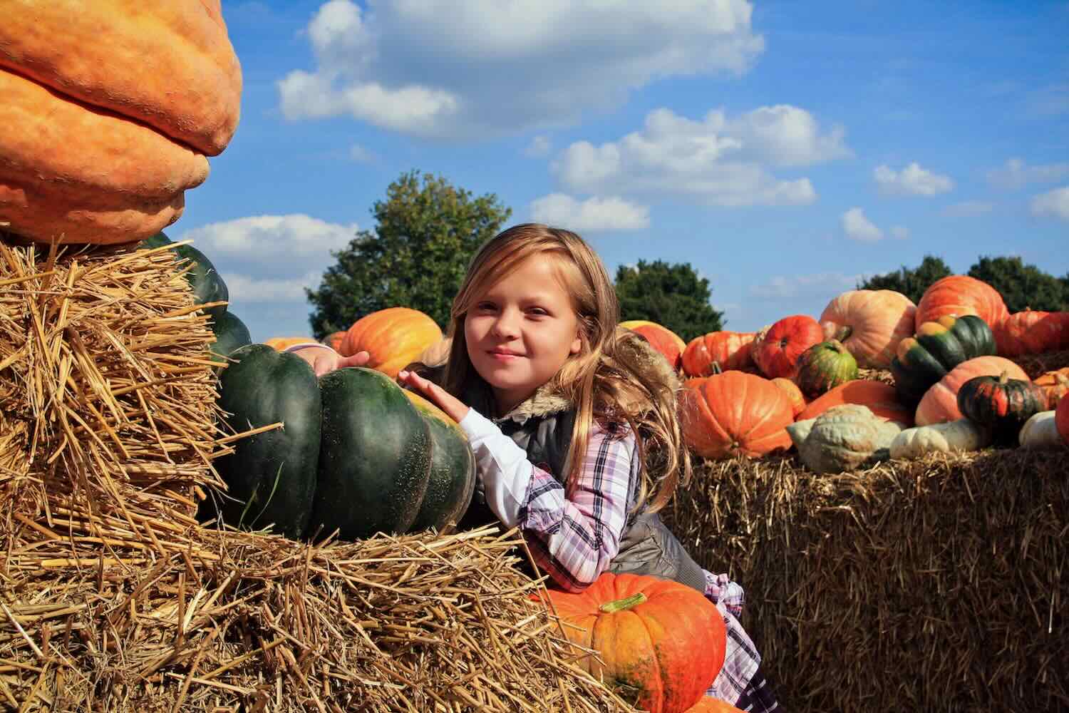 Kids at Halloween Pumpkin Patch