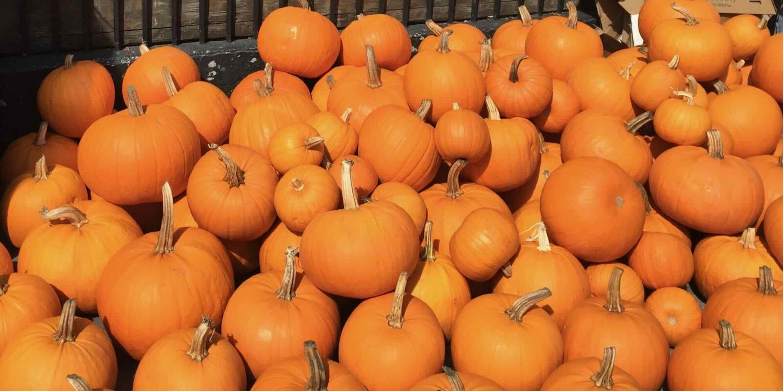 Pumpkins in San Francisco